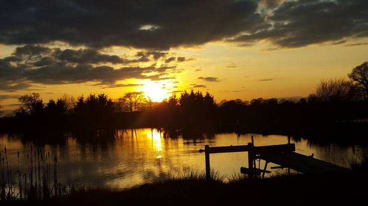 12814495_824261321011792_5372692659441989599_n