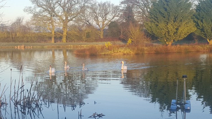 phone photos 4892.jpg